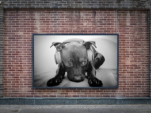 CJV300 Series:Outdoor signboard