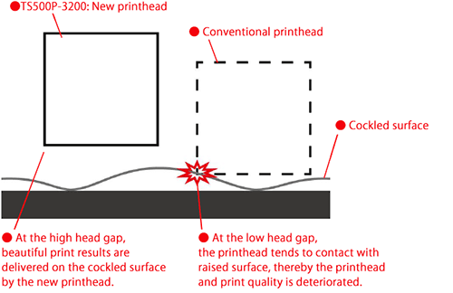 FIG.2: Head gap