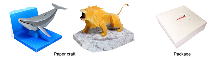 Paper craft / Package