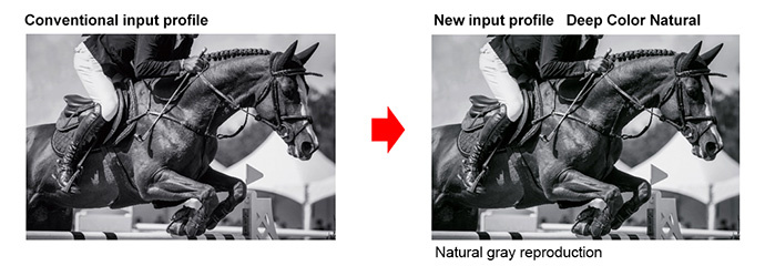 New input profile　Deep Color Natural: Naturel gray reproduction