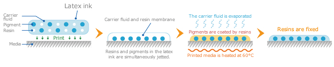 Mechanism of the latex ink adhesion