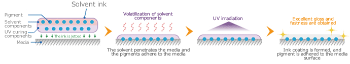 Mechanism of solvent UV ink adhesion