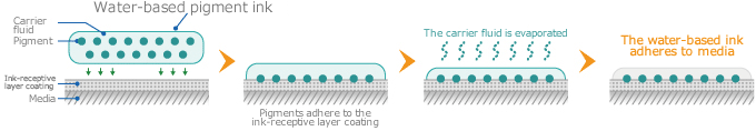 Mechanism of the water-based pigment ink adhesion
