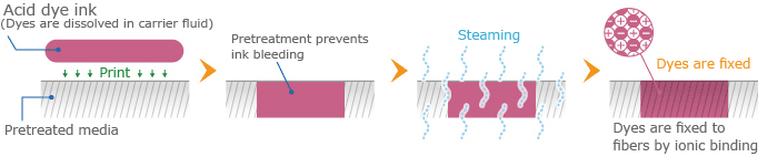 Mechanism of acid dye ink fixation
