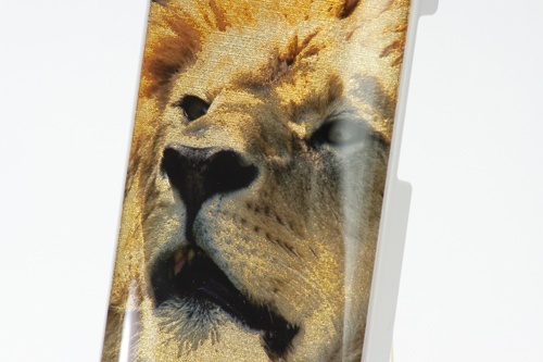 Color + Digital foiling + Doming