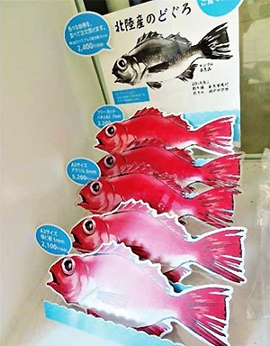 Even ‘Nodoguro’ fish can be expressed by cutting its shape