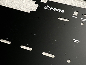 Panel of PASTA