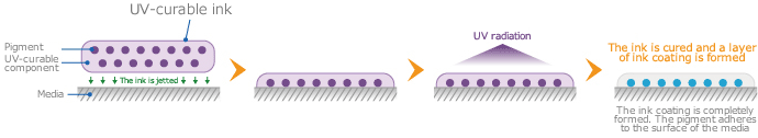 Mechanism of UV- curable ink adhesion