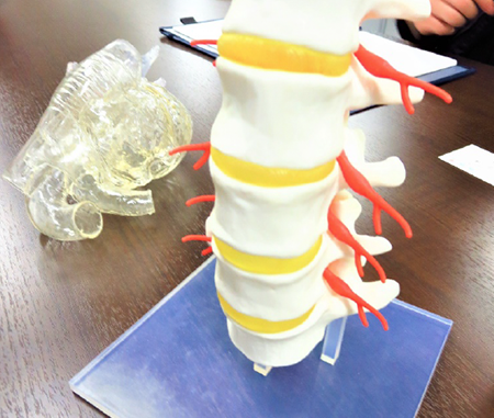 Organ phantom modeled using the 3D printer