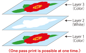 One pass print is possible at one time.